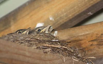 Tuesday August 26, 2014