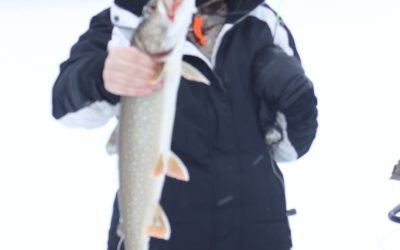 Tuesday January 3, 2011