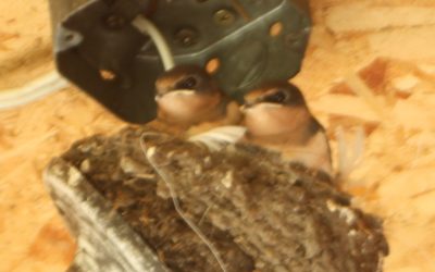 Wednesday September 3, 2014