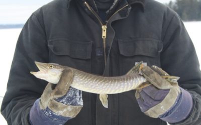 Sunday March 4, 2012