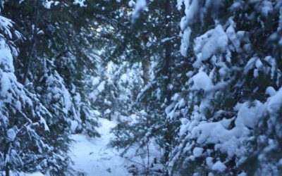 Sunday January 8, 2012