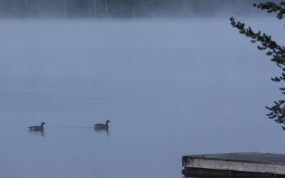 Friday September 12, 2014