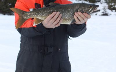 Friday January 6, 2012