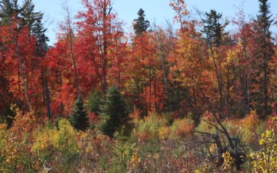 Tuesday September 23, 2014