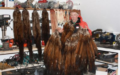 Saturday January 7, 2012