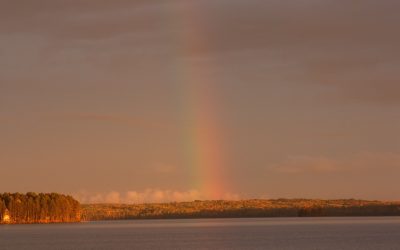 Friday October 3, 2014