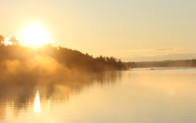 Friday October 10, 2014