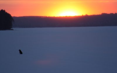 Friday January 13, 2012