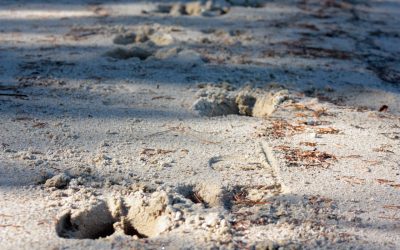 Friday October 17, 2014