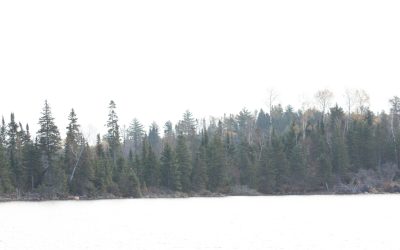 Sunday October 19, 2014