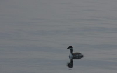 Wednesday October 29, 2104