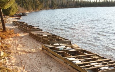 Saturday November 1, 2014