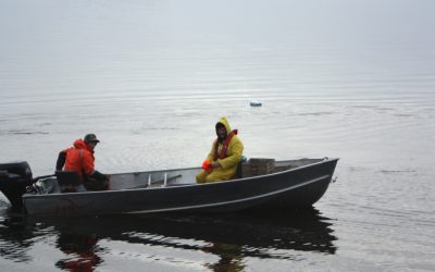 Thursday November 6, 2014