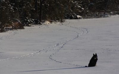 Wednesday January 7, 2015