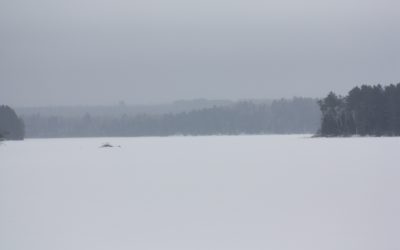 Monday January 19, 2015