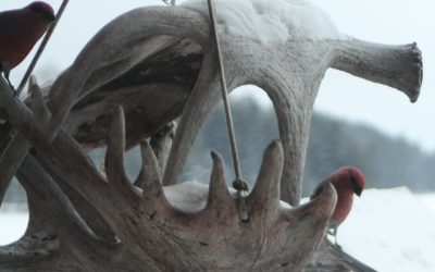 Wednesday January 28, 2015