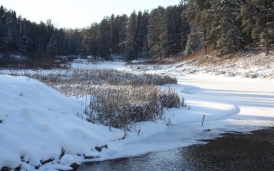 Friday January 20, 2012