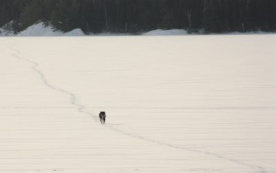 Friday January 30, 2015