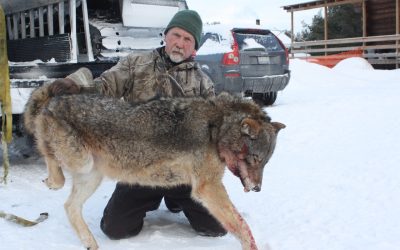 Tuesday February 3, 2015