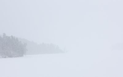 Saturday February 7, 2015