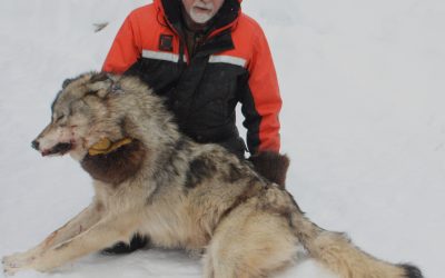 Saturday February 14, 2015