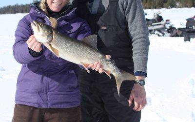 Sunday March 8, 2015