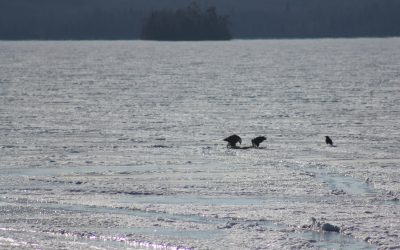 Tuesday March 17, 2015