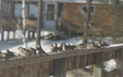 Thursday March 26, 2015