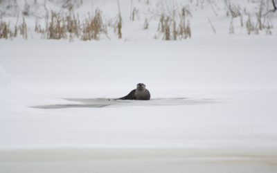 Monday January 23, 2012