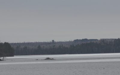 Saturday April 25, 2015