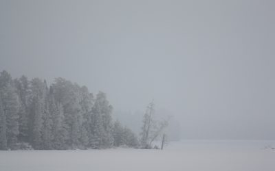 Sunday February 5, 2012