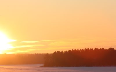 Wednesday February 8, 2012