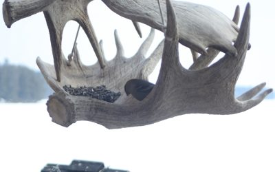 Saturday February 18, 2012