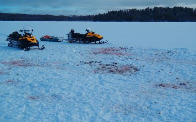 Friday December 30, 2011