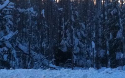 Monday February 4, 2013