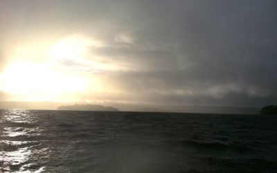 Wednesday August 8, 2012