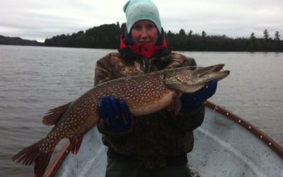 Tuesday June 10, 2014