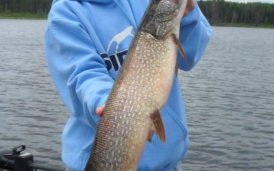 Tuesday June 25, 2013