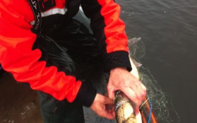 Saturday November 3, 2012