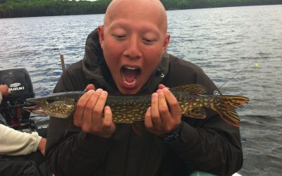 Friday June 14, 2013