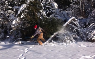 Monday April 20, 2015