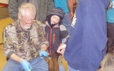 Sunday March 24, 2013