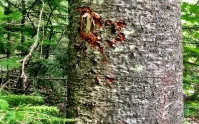 Tuesday July 16, 2013