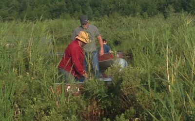 Saturday August 3, 2013