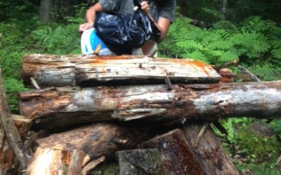 Saturday August 10, 2013