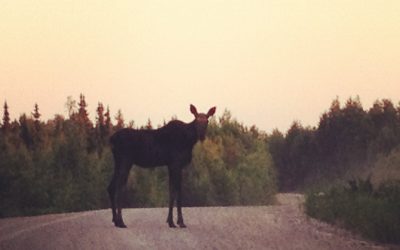 Friday June 29, 2012