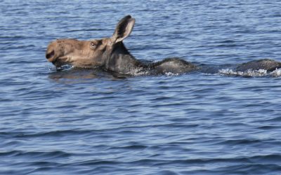 Sunday July 28, 2013