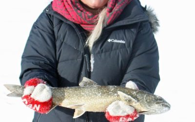 Monday January 20, 2014