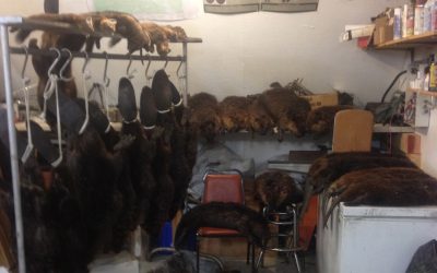 Friday November 8, 2013