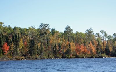 Tuesday Oct. 1, 2013